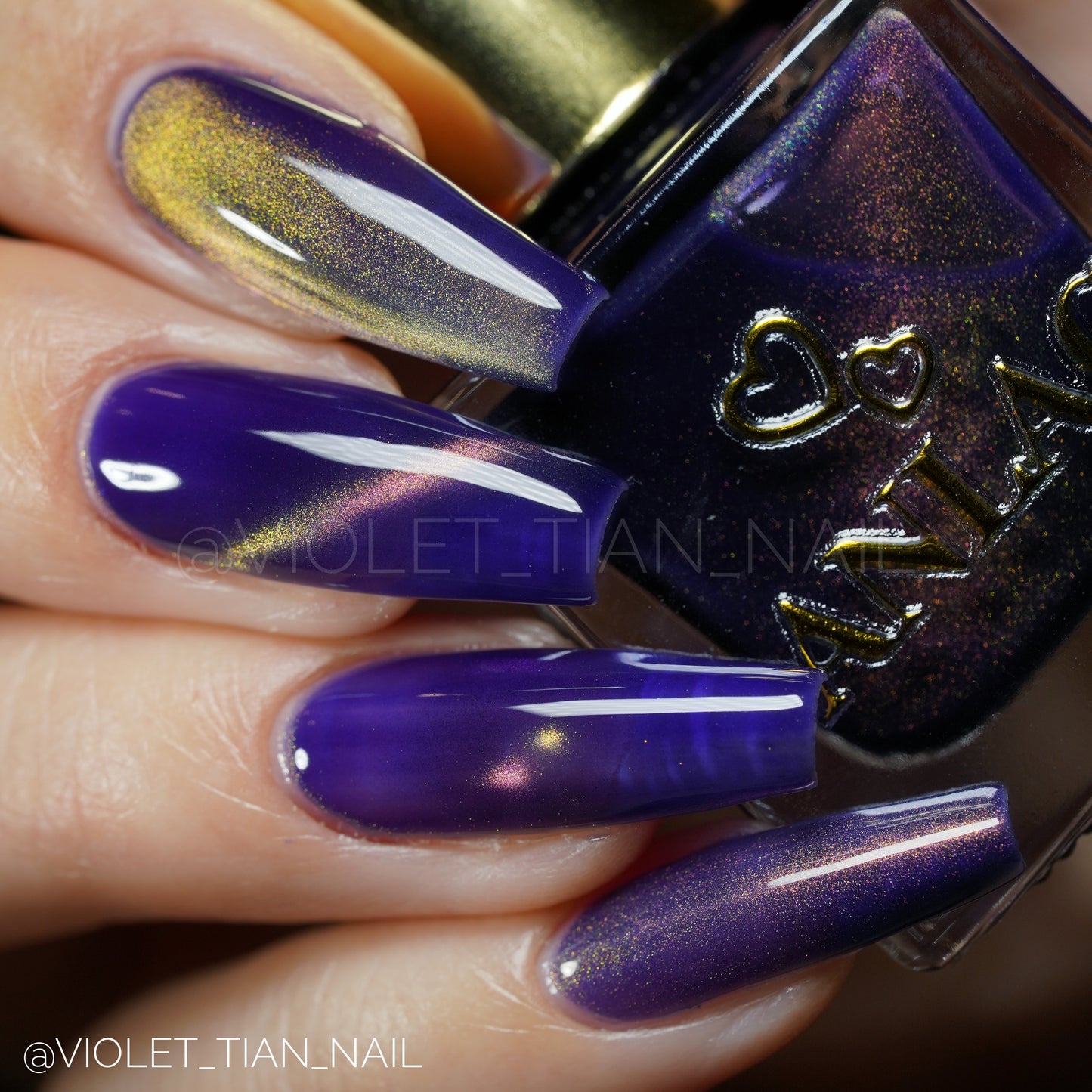 Great Purple Emperor