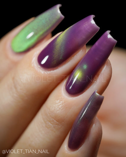 Balinese Swallowtail