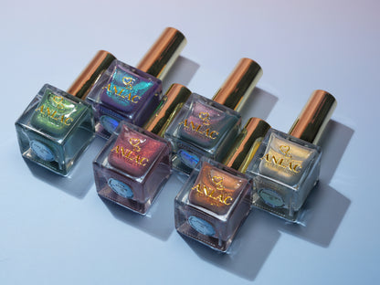 See Sheer Bundle(Pre-order)