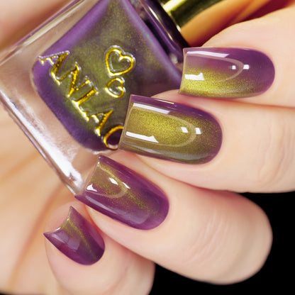 Balinese Swallowtail