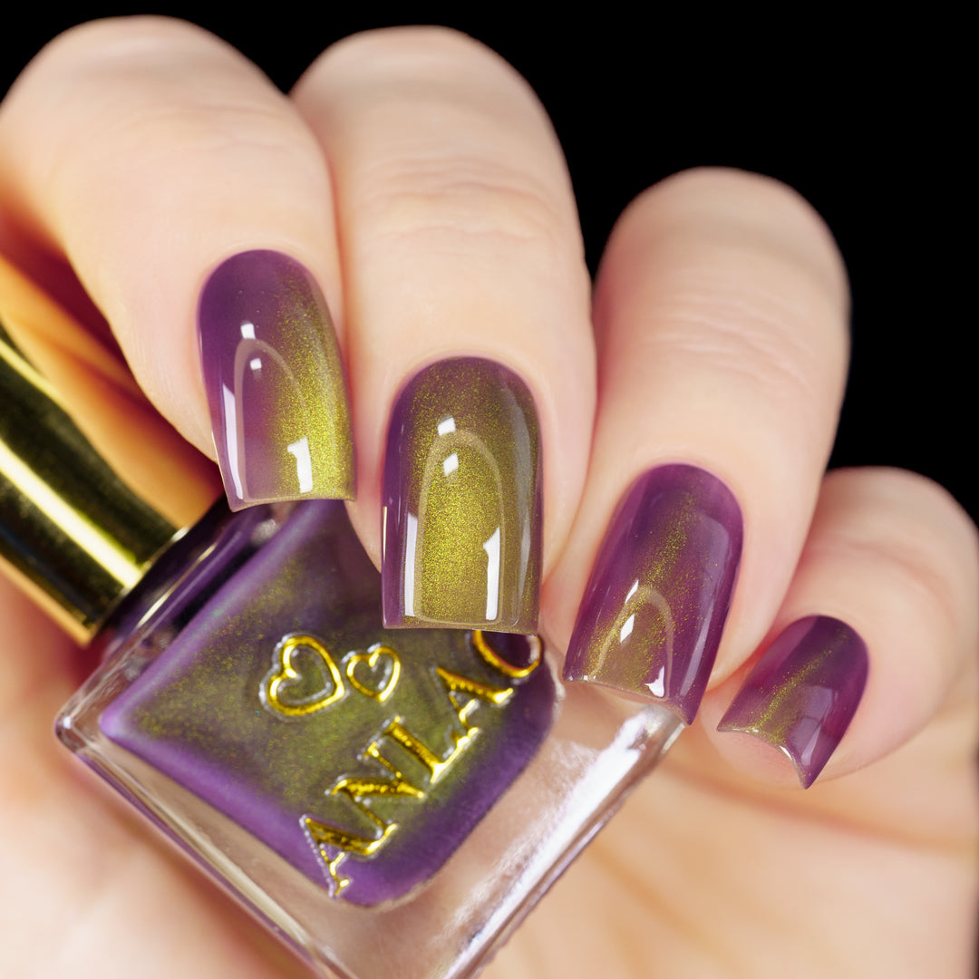 Balinese Swallowtail