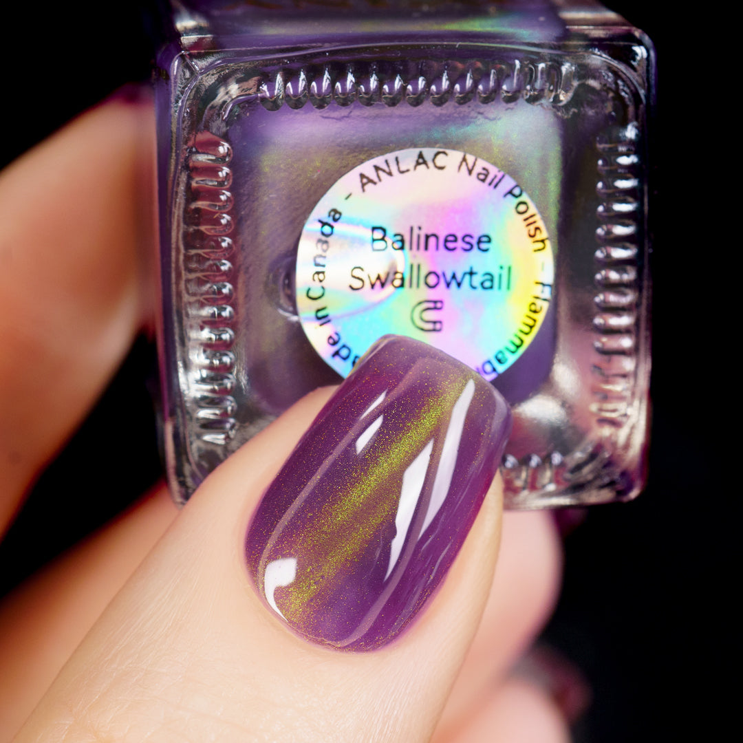 Balinese Swallowtail