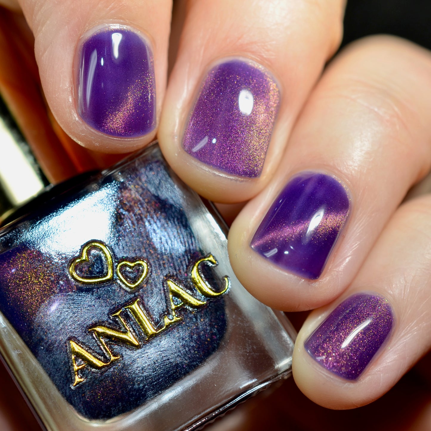 Great Purple Emperor