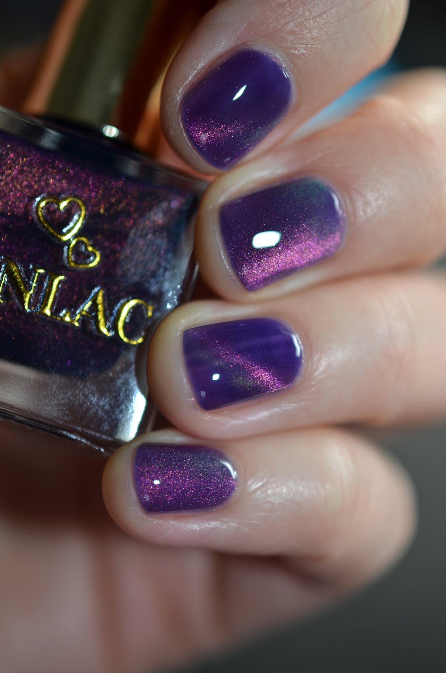 Great Purple Emperor