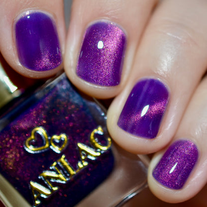 Great Purple Emperor