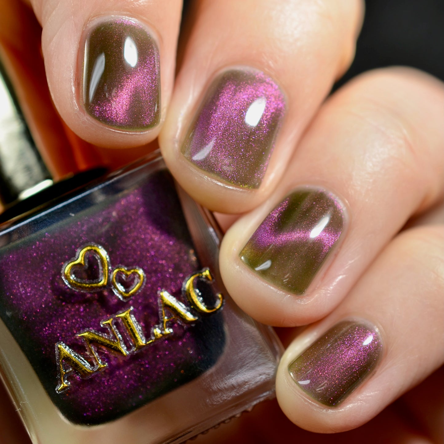 Hesperis Eighty-Eight