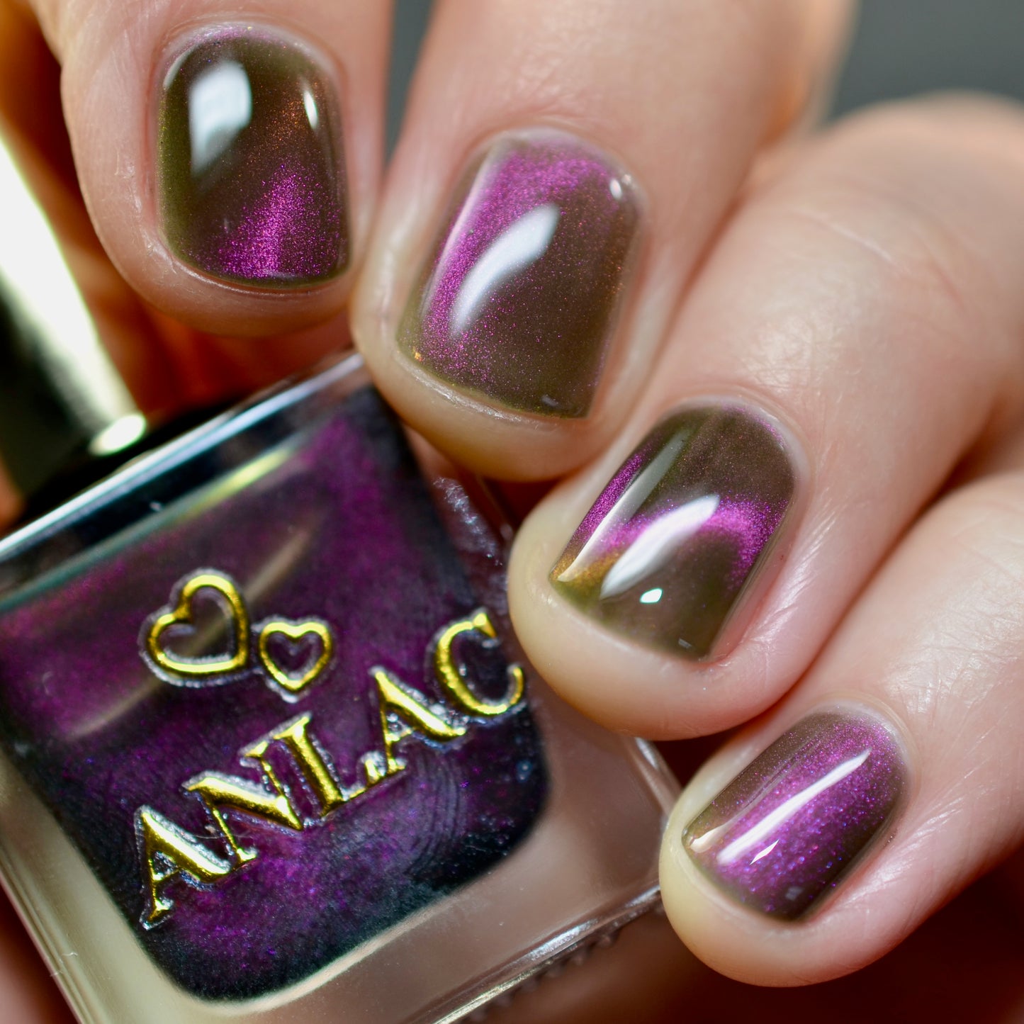 Hesperis Eighty-Eight