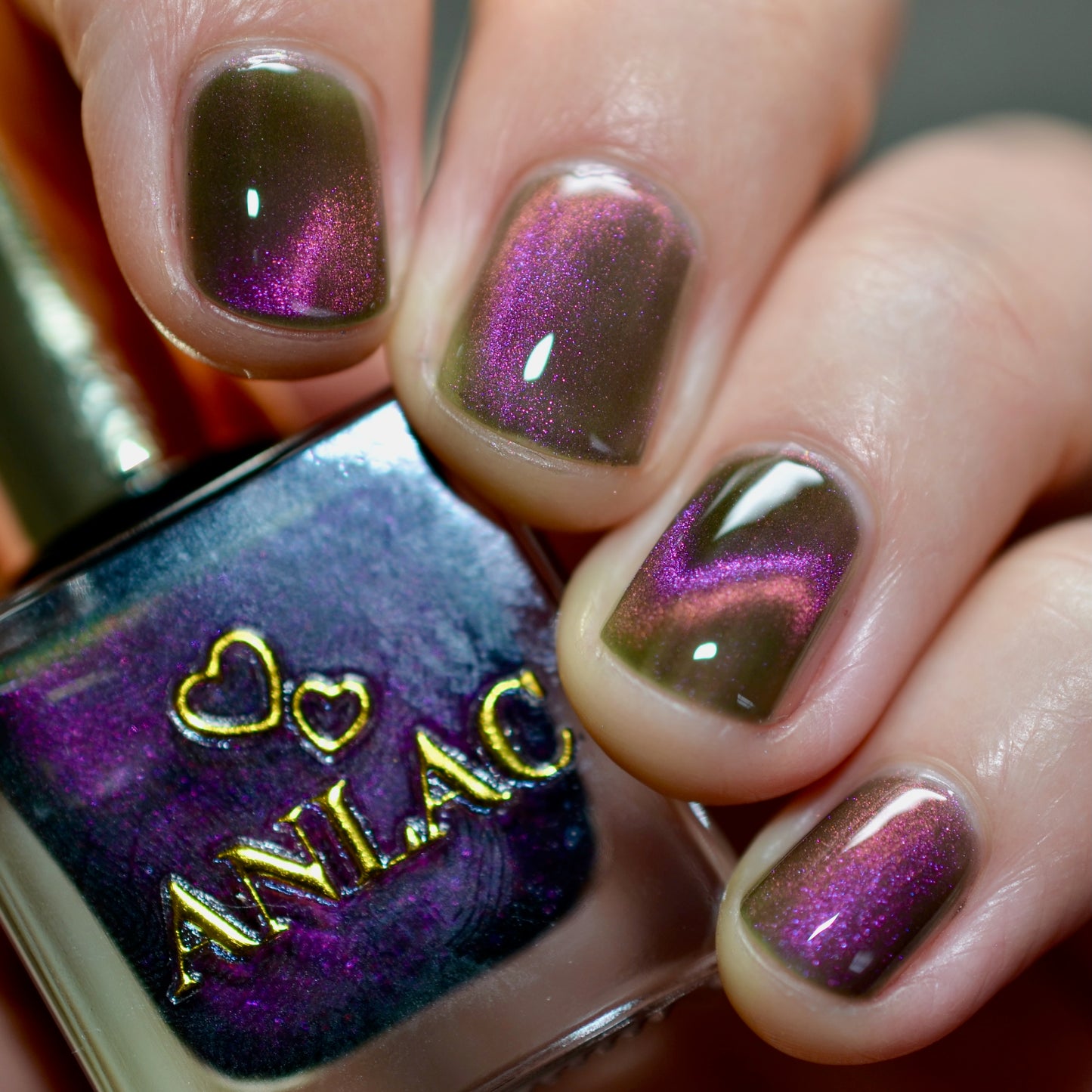 Hesperis Eighty-Eight