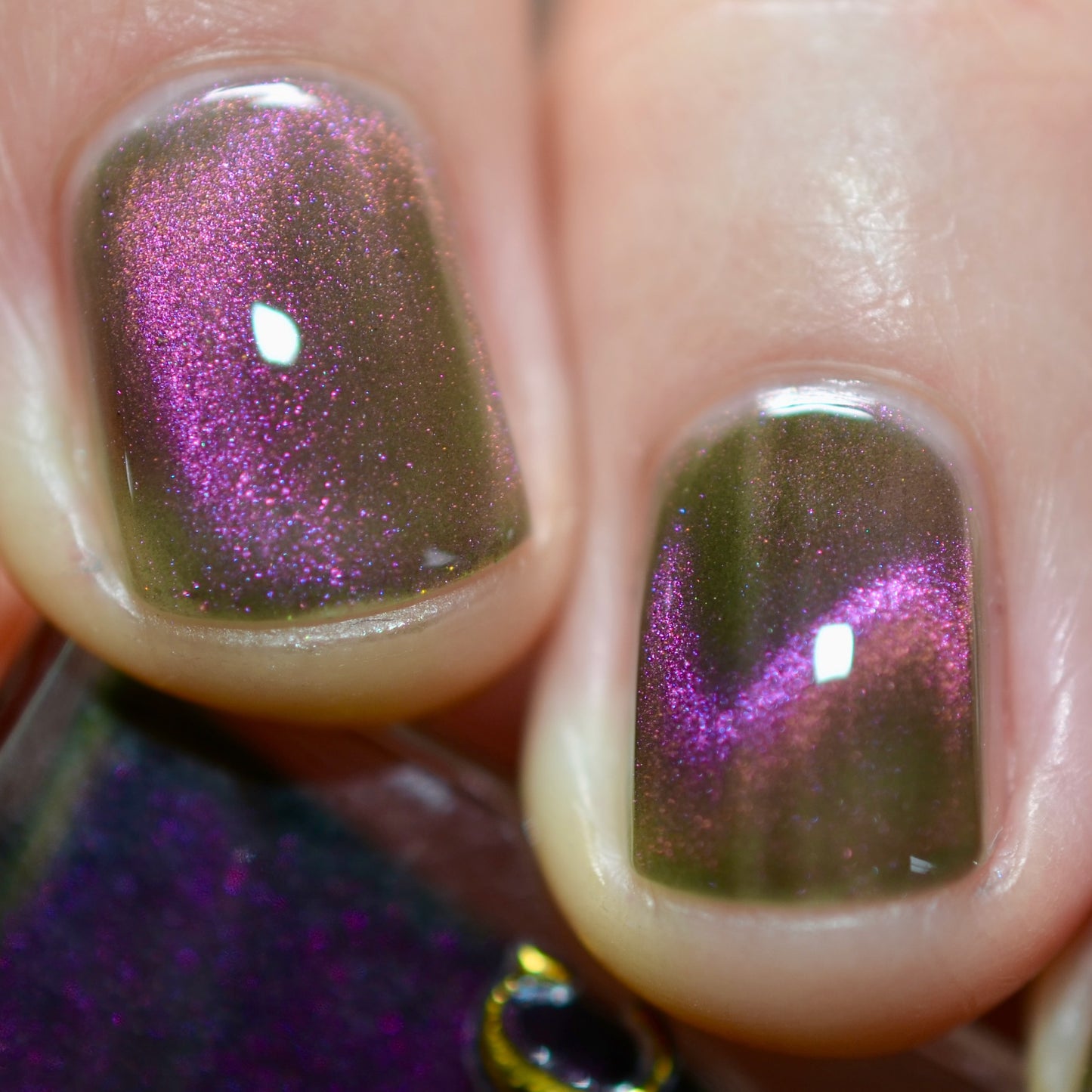 Hesperis Eighty-Eight