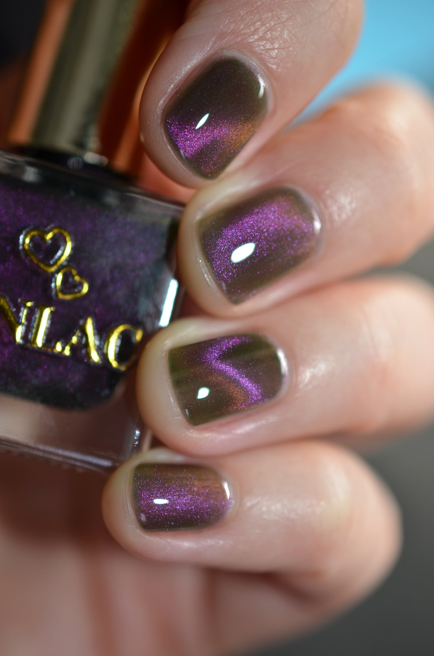 Hesperis Eighty-Eight