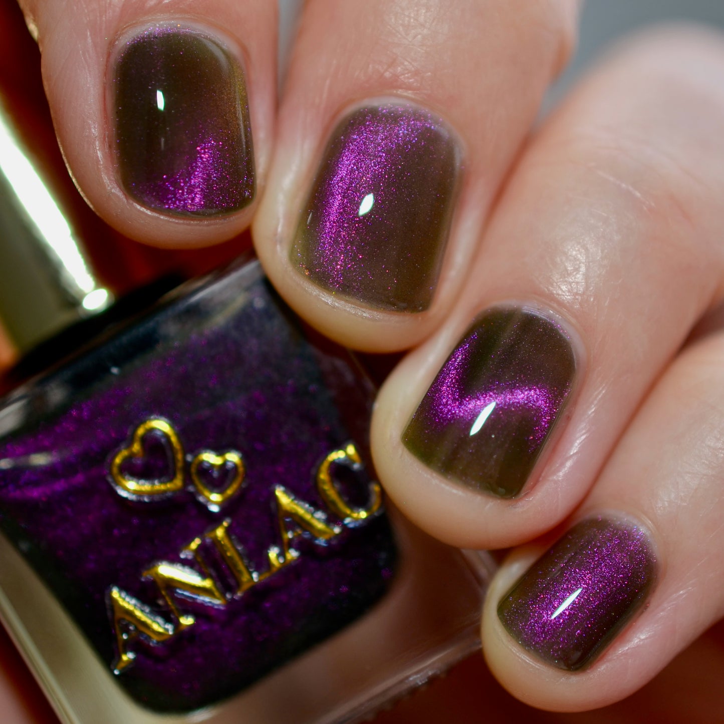 Hesperis Eighty-Eight