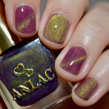 Balinese Swallowtail