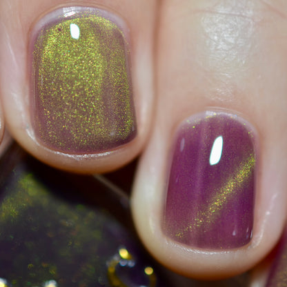 Balinese Swallowtail