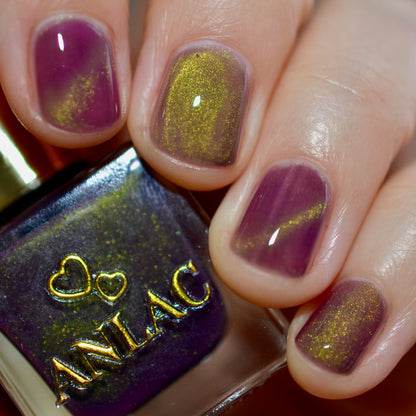 Balinese Swallowtail