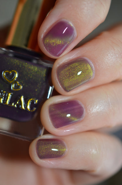 Balinese Swallowtail