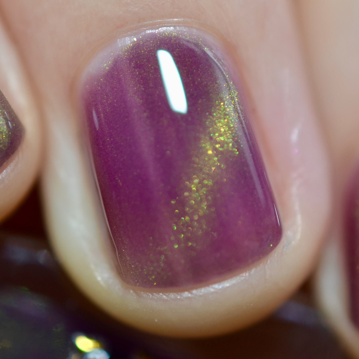 Balinese Swallowtail