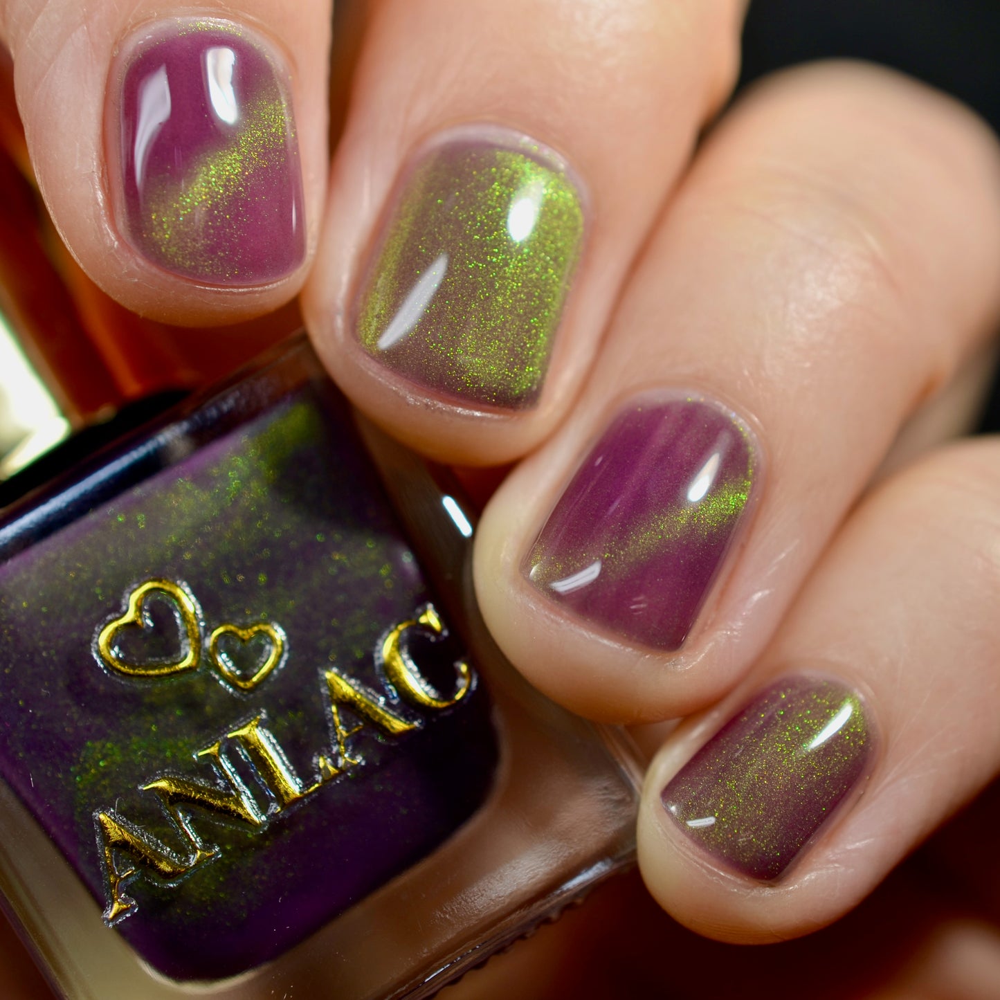 Balinese Swallowtail