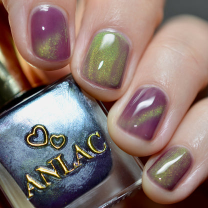 Balinese Swallowtail