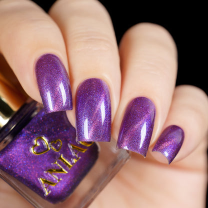 Glimmer