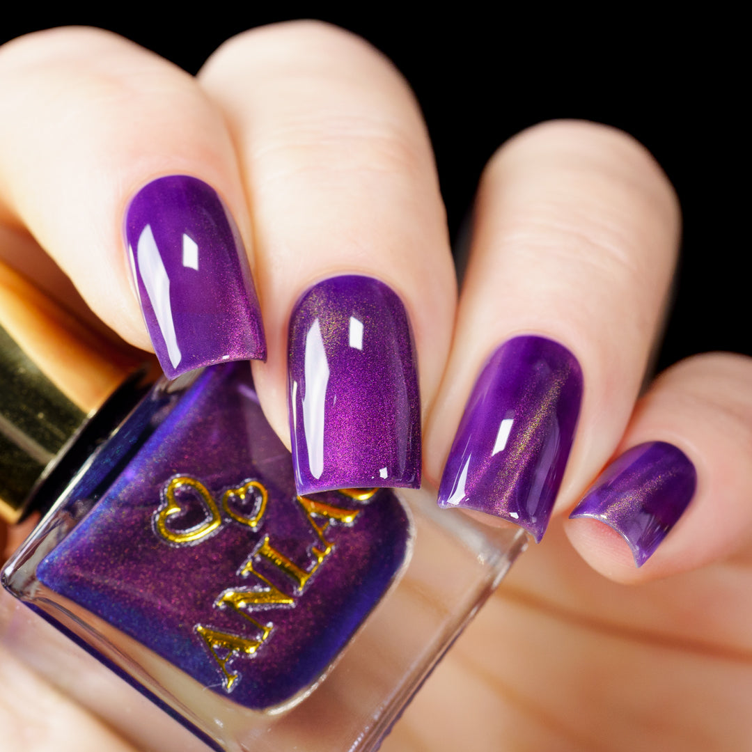 Great Purple Emperor