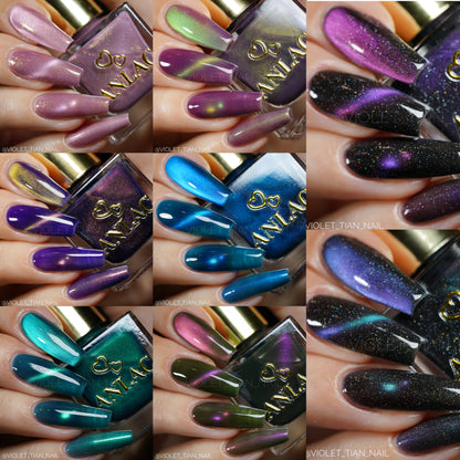 ANLAC Butterfly Bundle