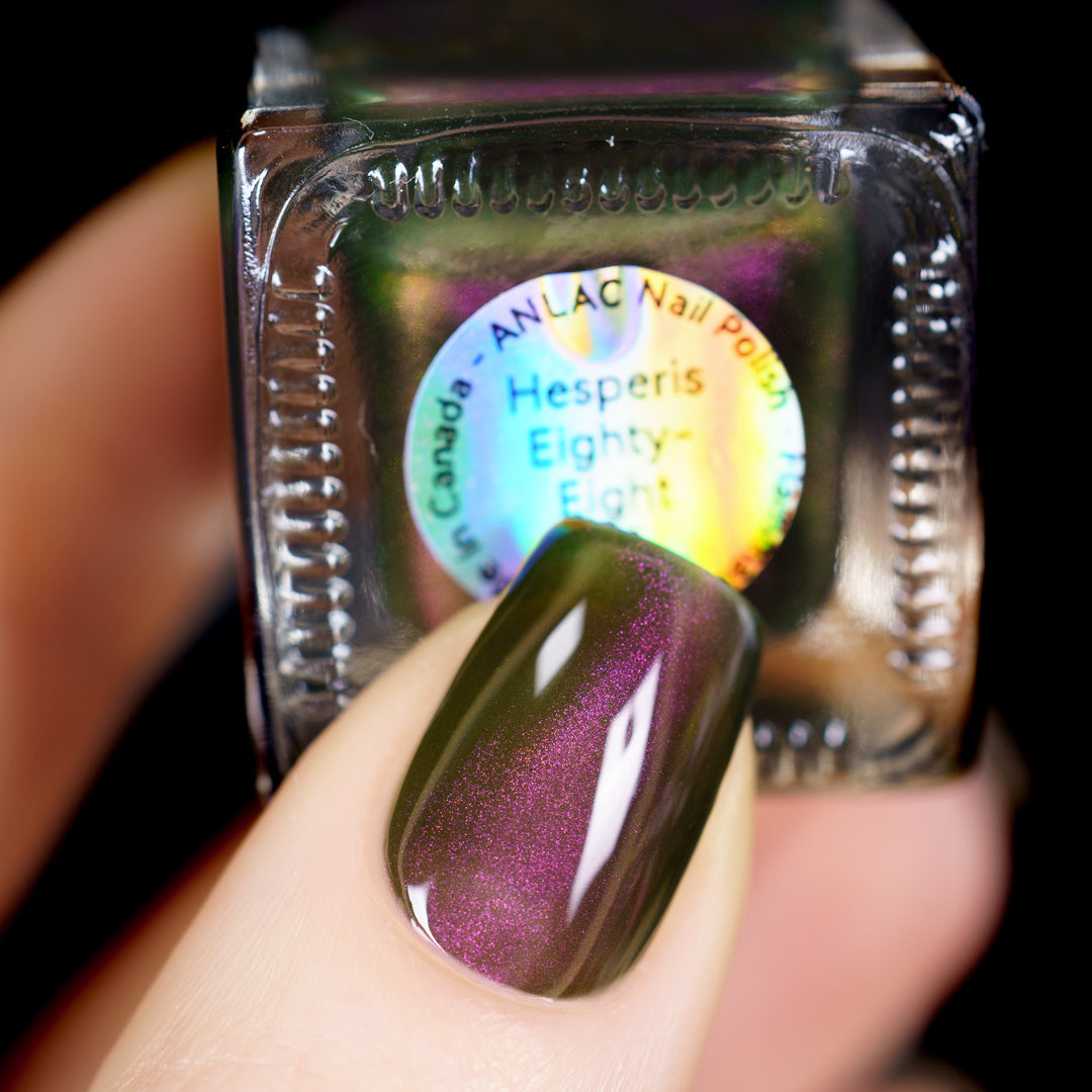 Hesperis Eighty-Eight