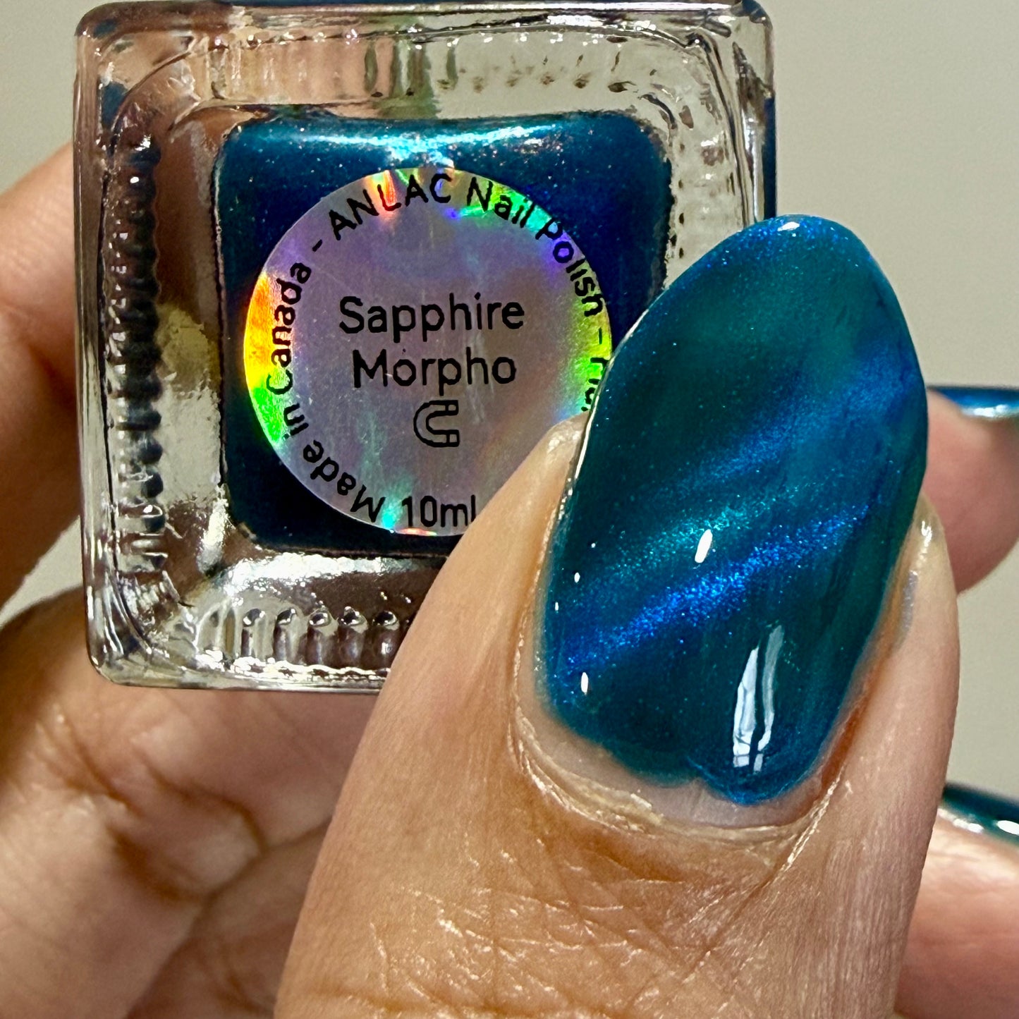 Sapphire Morpho
