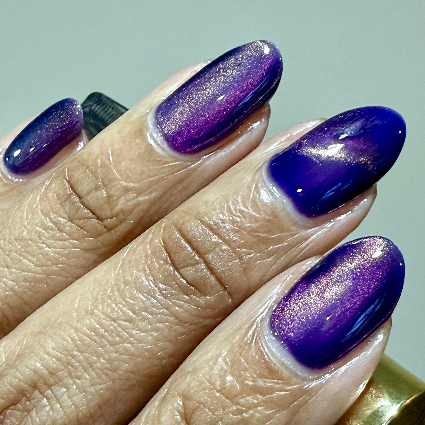 Great Purple Emperor