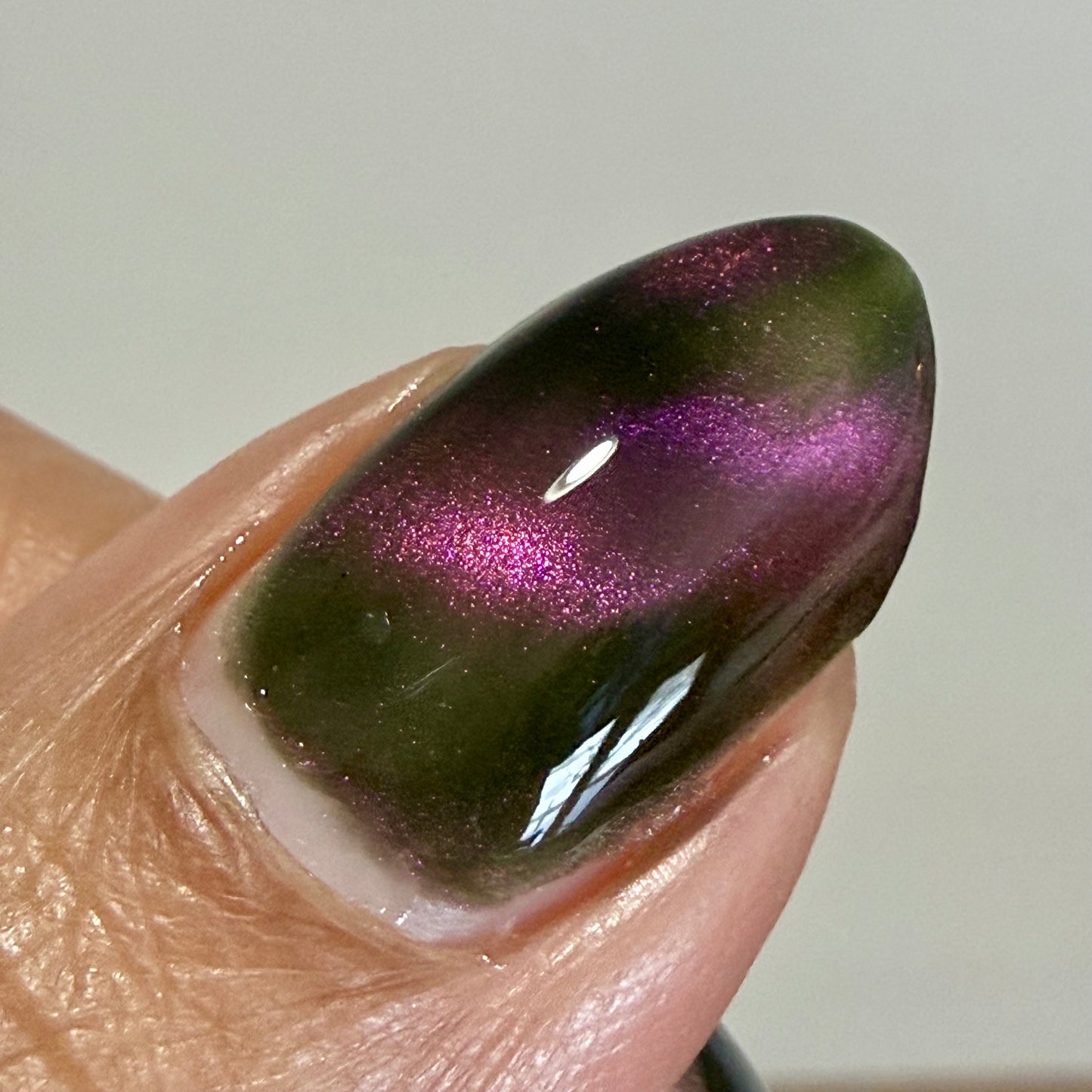 Hesperis Eighty-Eight