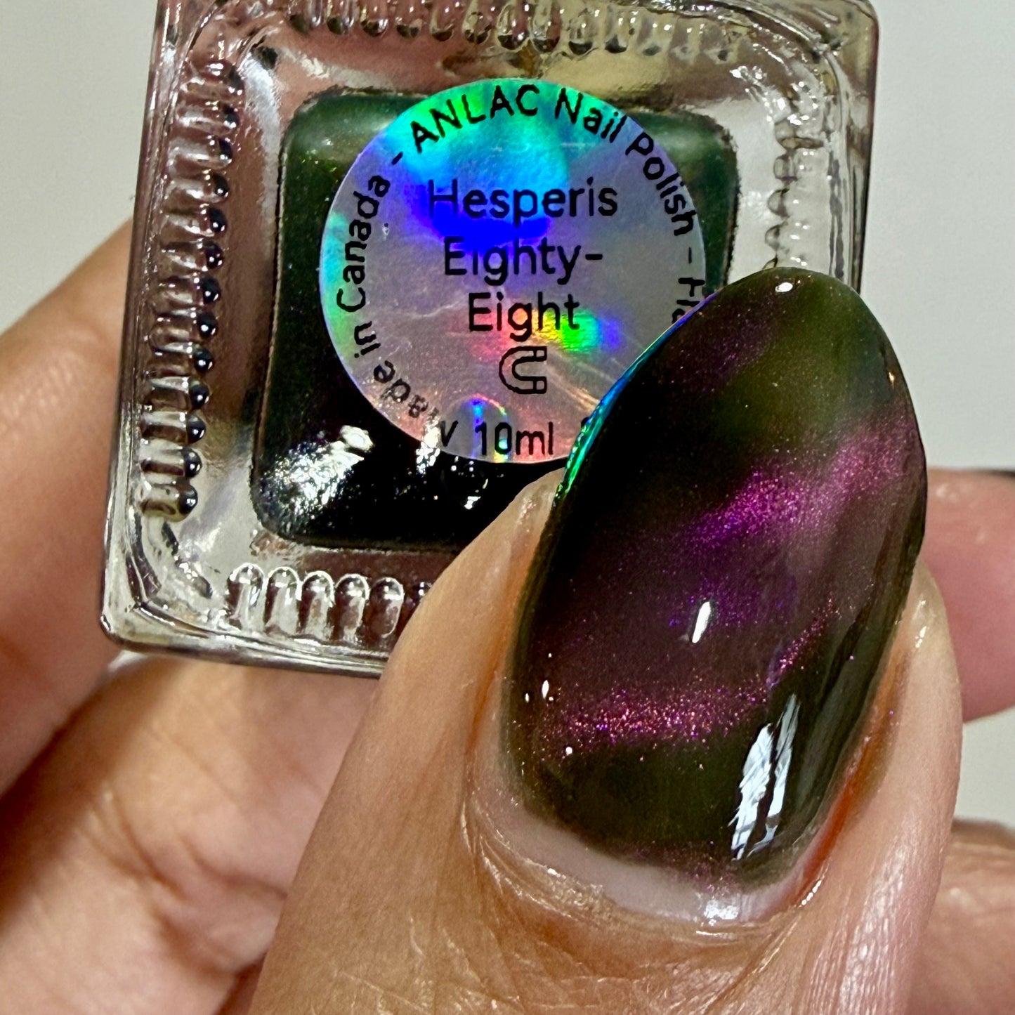 Hesperis Eighty-Eight