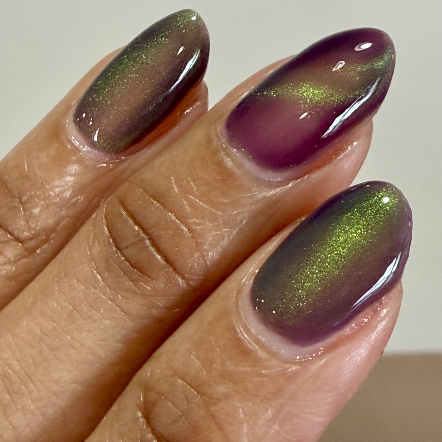 Balinese Swallowtail