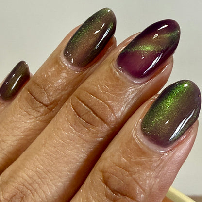 Balinese Swallowtail