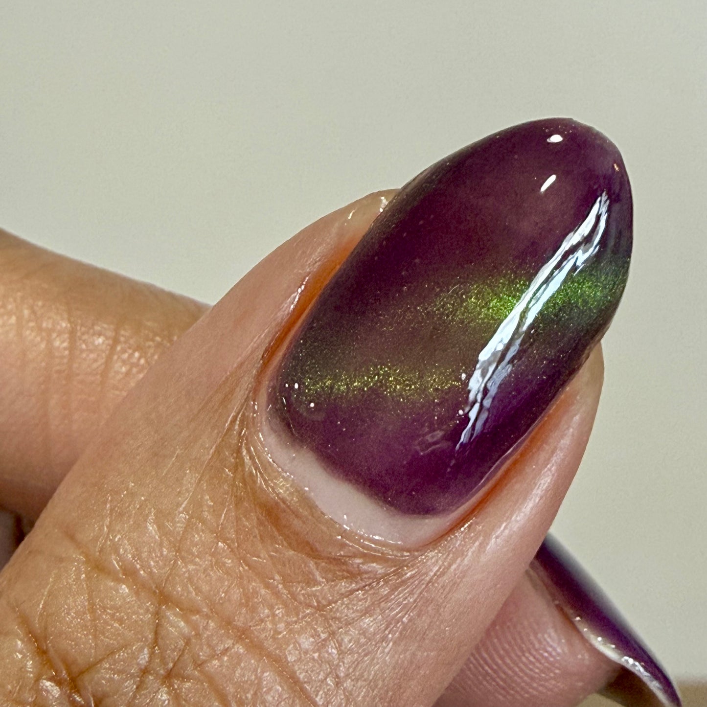 Balinese Swallowtail