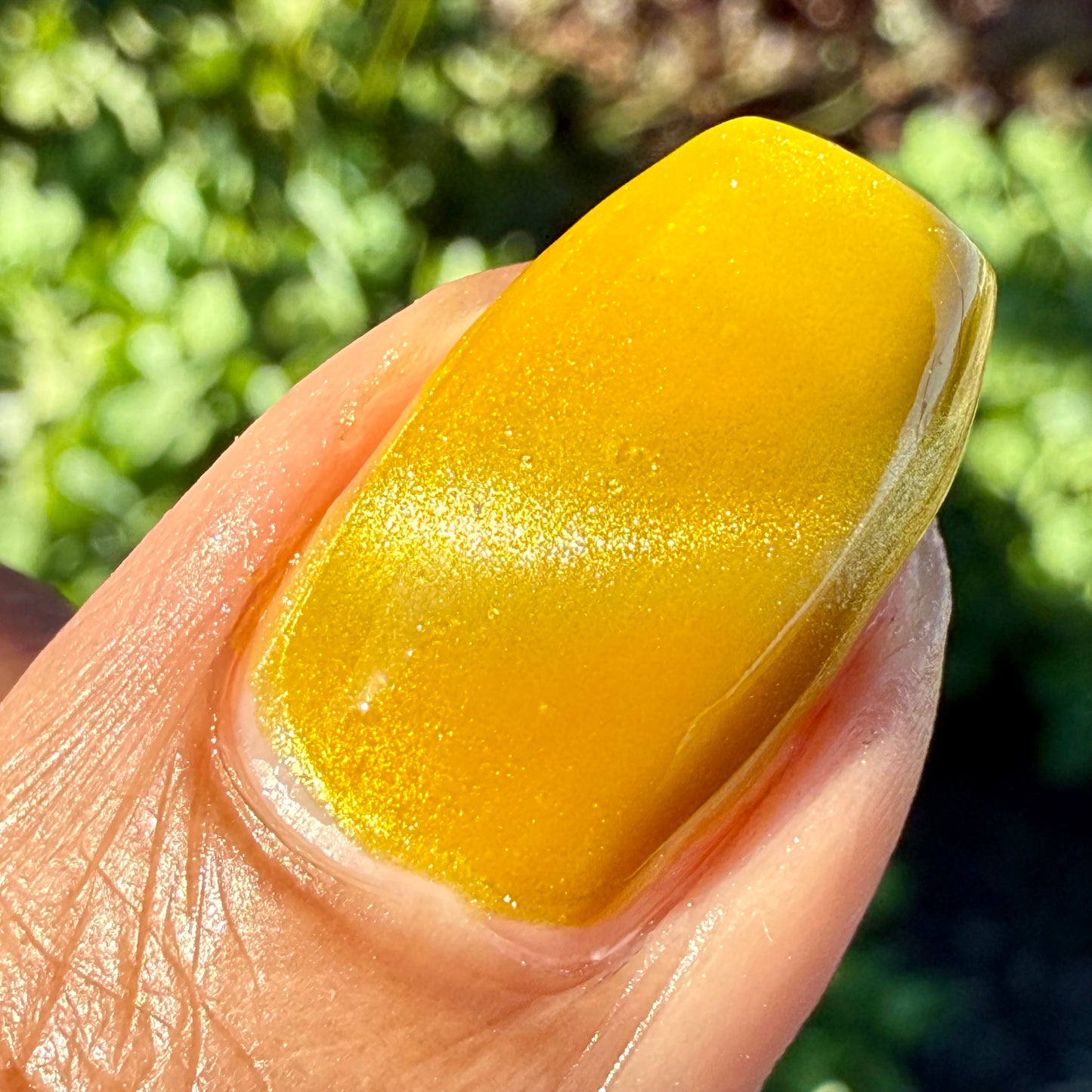 Pineapple Juice