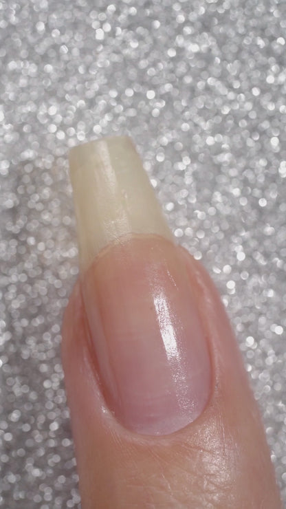 Balinese Swallowtail